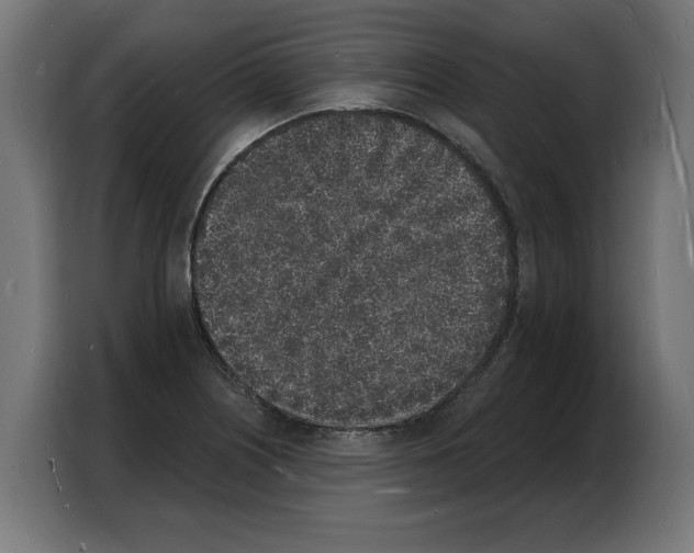 X0000103971226200810311518