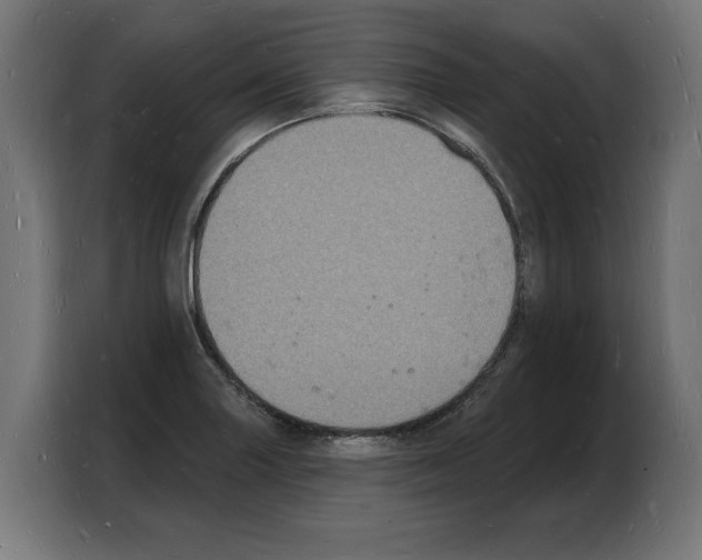 X0000103971227200810311518