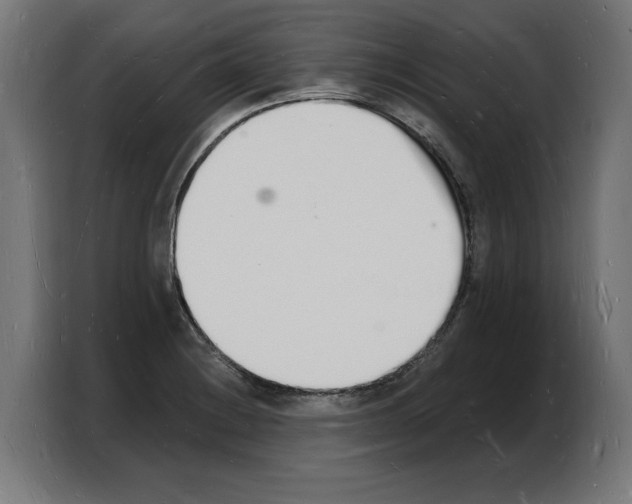 X0000103971228200810311518