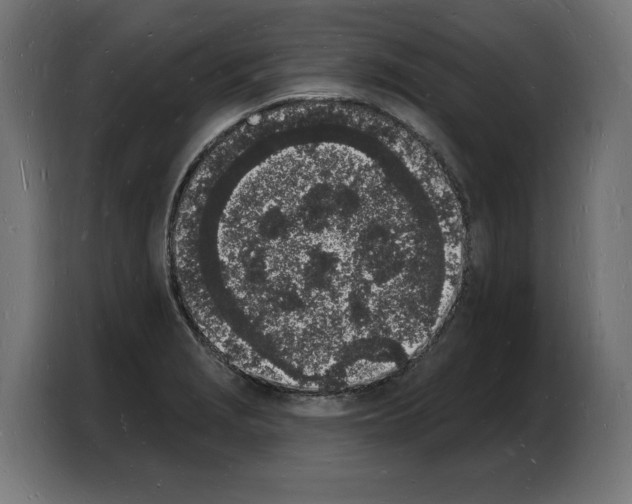 X0000103971229200810311518