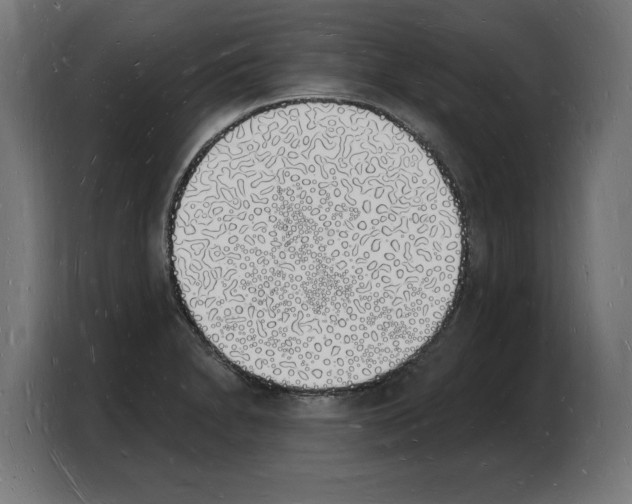 X0000103971230200810311518