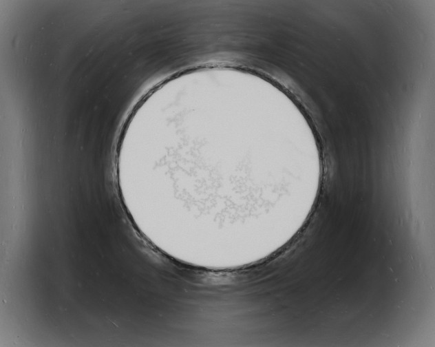 X0000103971232200810311518