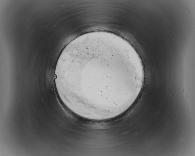X0000103971233200810311518