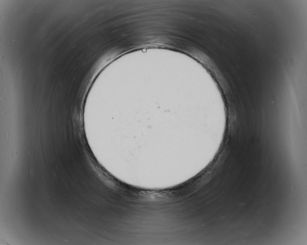 X0000103971234200810311518