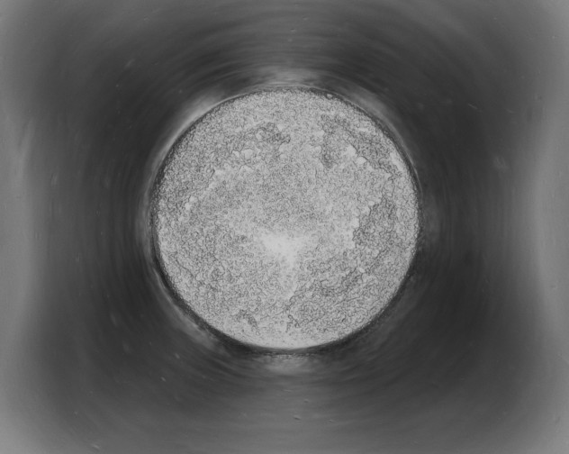 X0000103971235200810311518