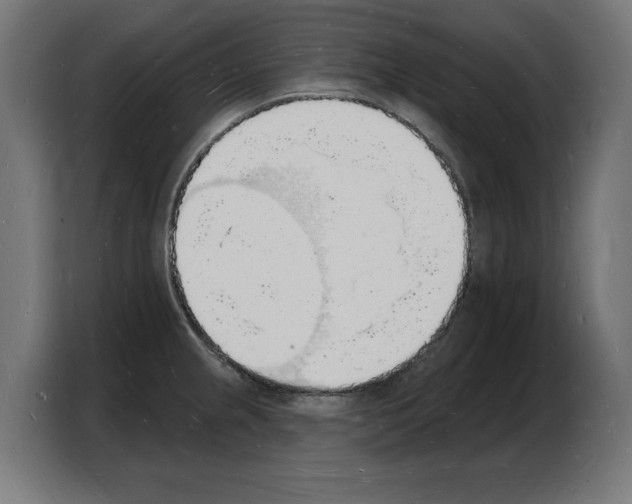 X0000103971237200810311518