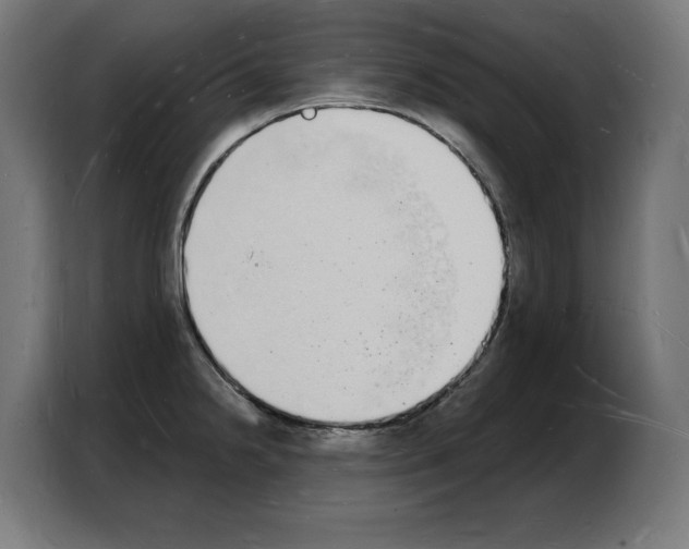 X0000103971238200810311518