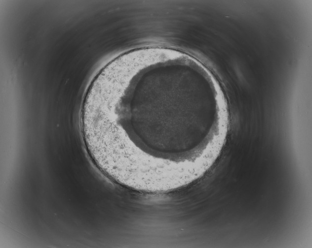 X0000103971239200810311518