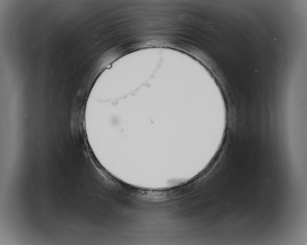 X0000103971241200810311518
