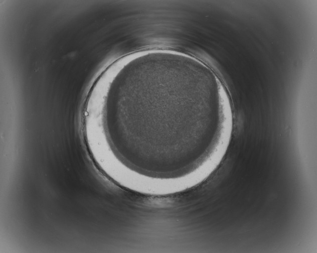 X0000103971243200810311518