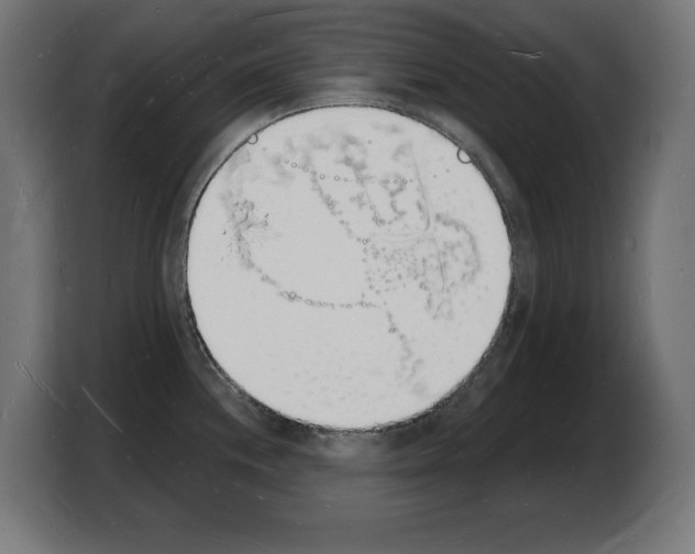 X0000103971244200810311518