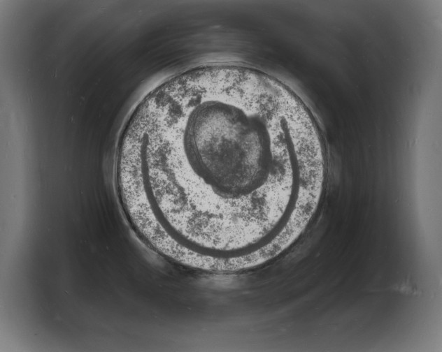 X0000103971245200810311518