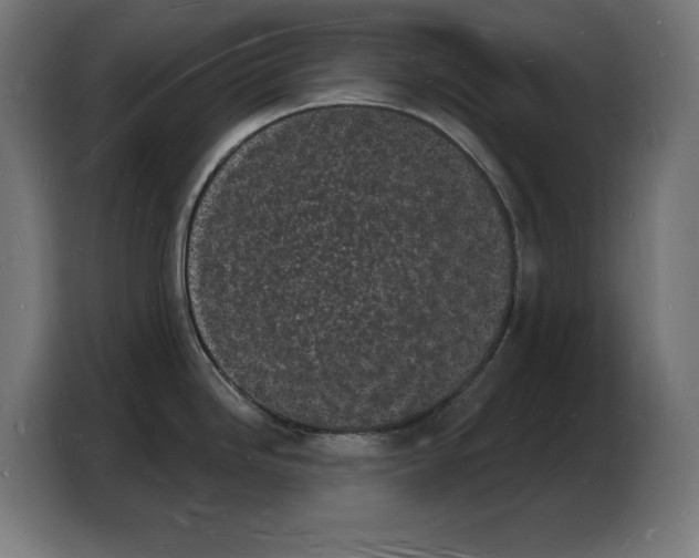X0000103971246200810311518