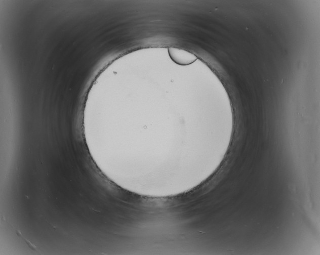 X0000103971248200810311518