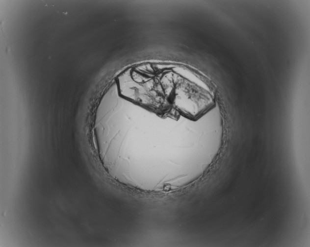 X0000103971249200810311517