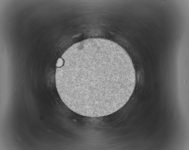 X0000103971251200810311517
