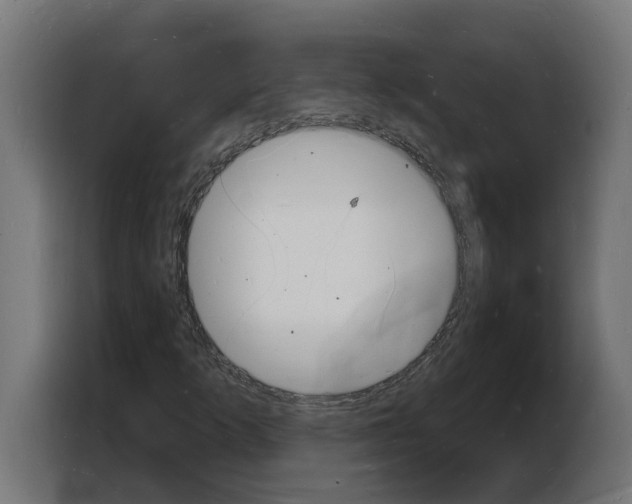 X0000103971253200810311517