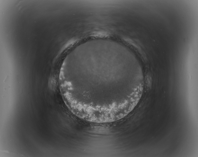 X0000103971254200810311517