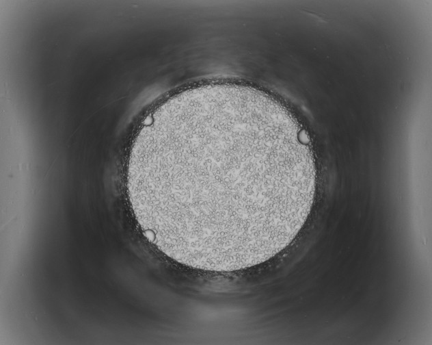 X0000103971255200810311517