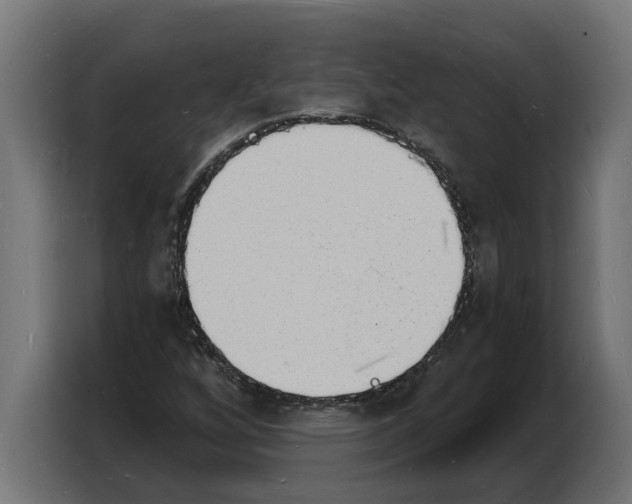 X0000103971256200810311517