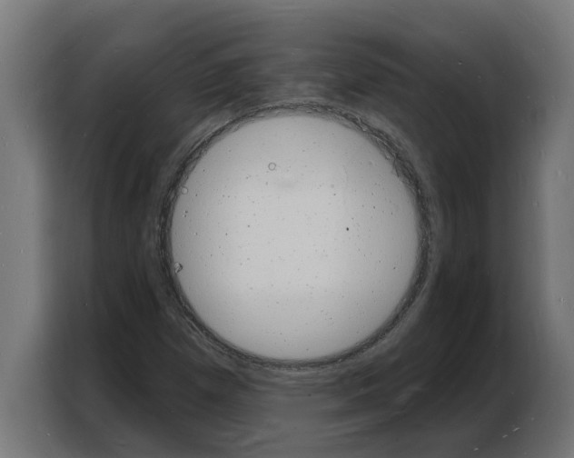 X0000103971257200810311517