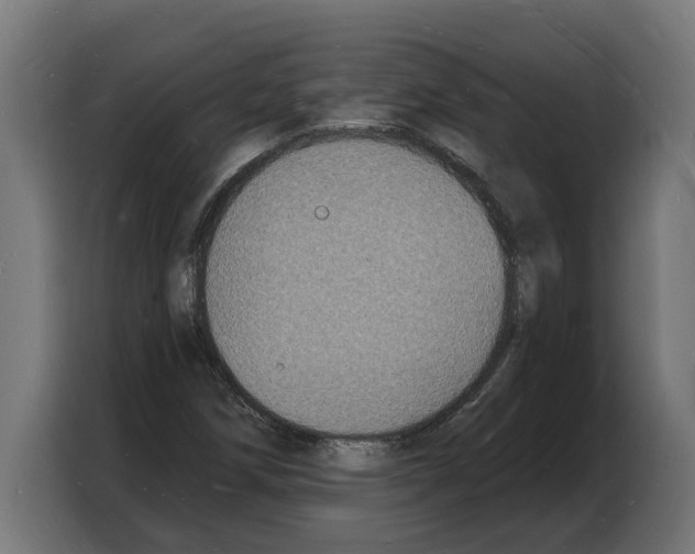 X0000103971258200810311517