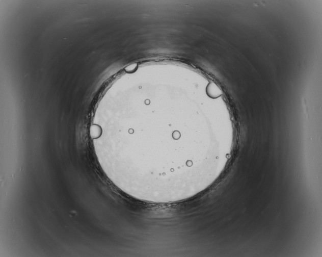 X0000103971259200810311517