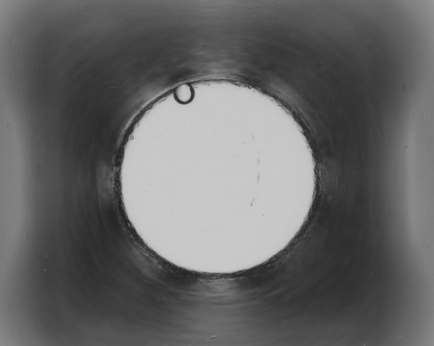 X0000103971260200810311517