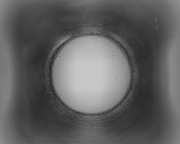 X0000103971261200810311517