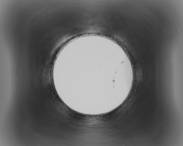 X0000103971262200810311517