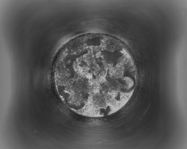 X0000103971263200810311517