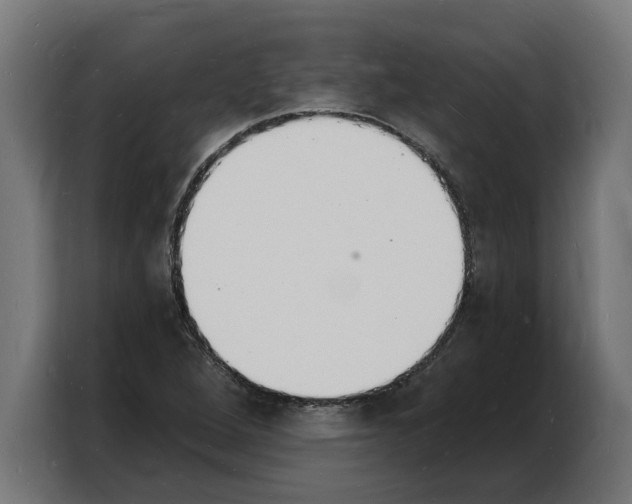 X0000103971264200810311517