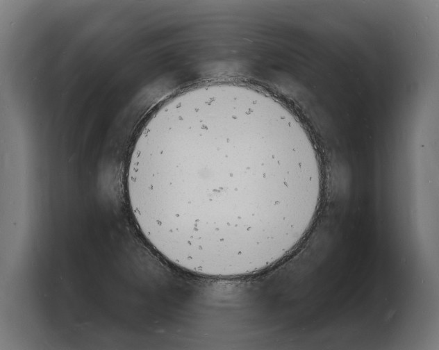 X0000103971265200810311517