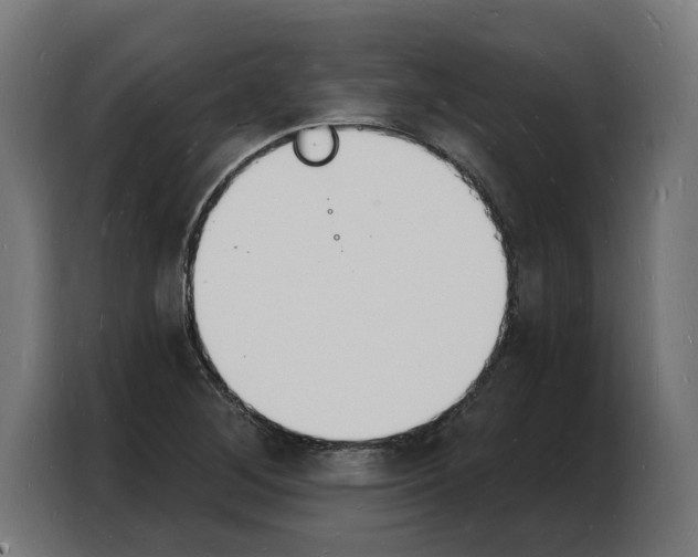 X0000103971268200810311517