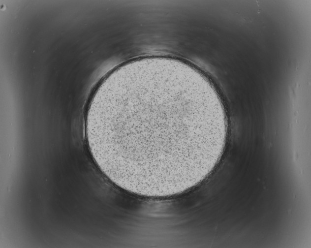 X0000103971269200810311517