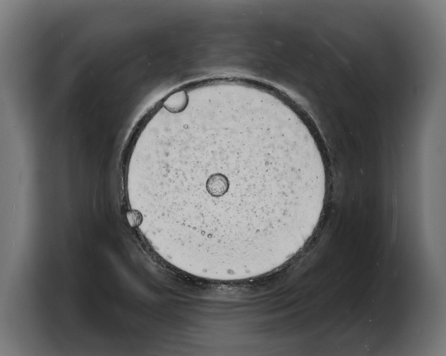 X0000103971271200810311517