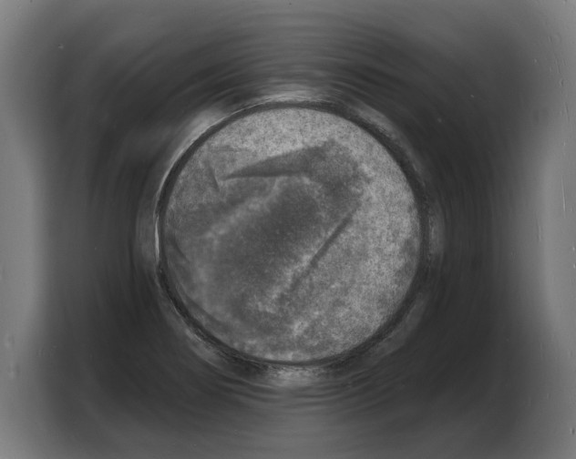 X0000103971274200810311517