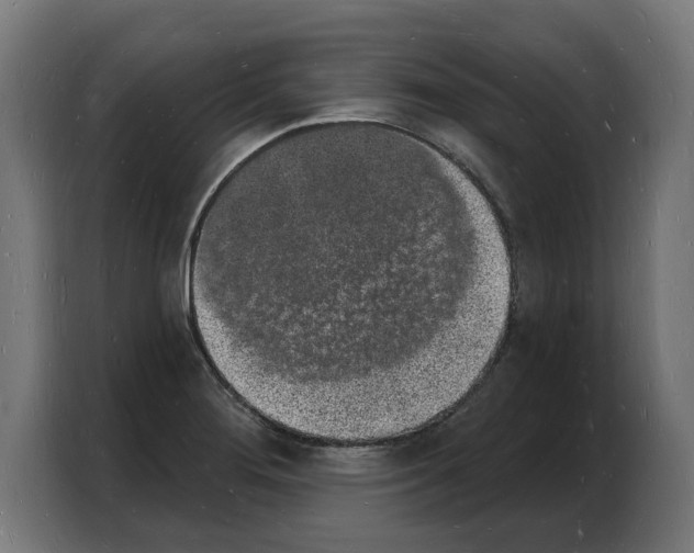 X0000103971276200810311517