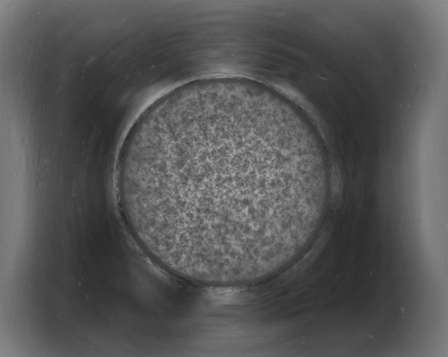 X0000103971278200810311517
