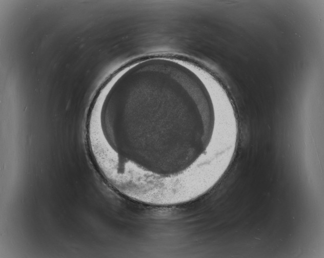 X0000103971279200810311517