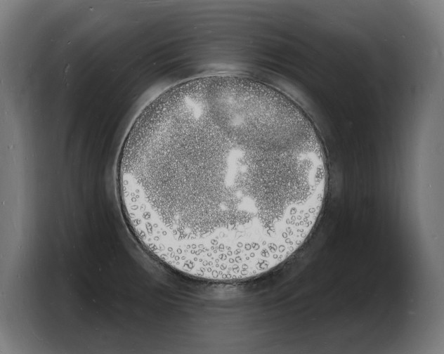 X0000103971283200810311517