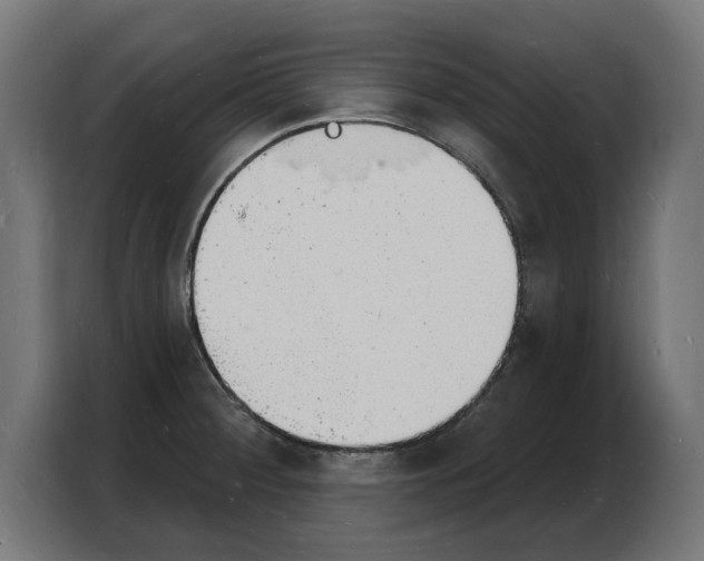 X0000103971284200810311517