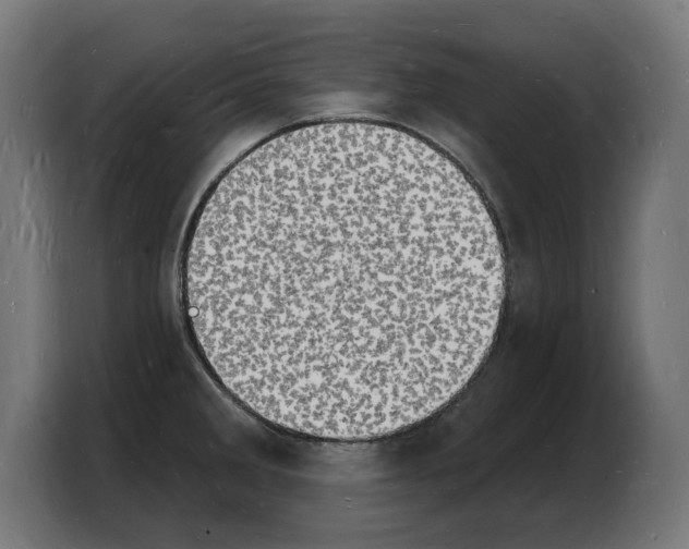 X0000103971285200810311517