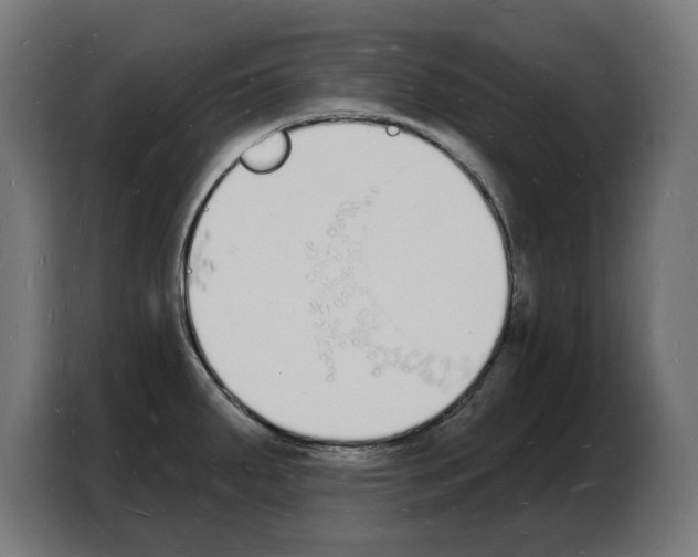 X0000103971287200810311517
