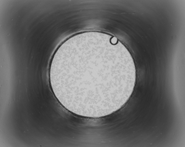 X0000103971288200810311517