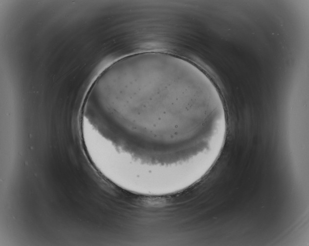 X0000103971291200810311517