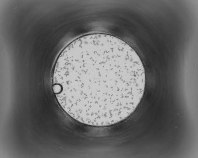 X0000103971292200810311517