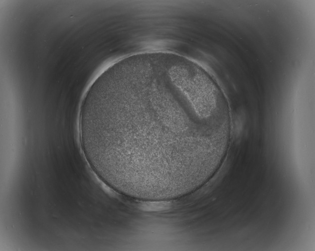 X0000103971294200810311517