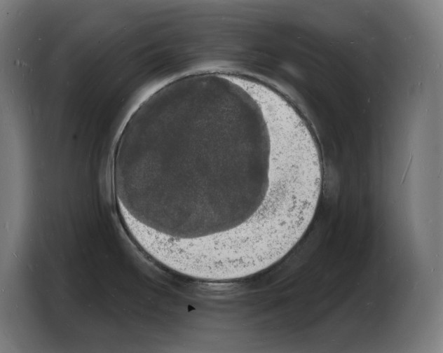 X0000103971295200810311517