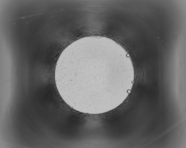 X0000103971300200810311516